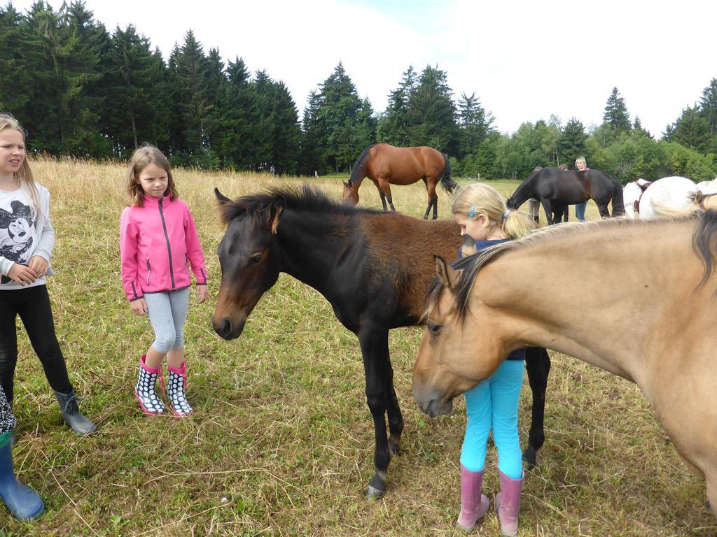 Espi-Stables Ferienhof Esterhammer Liebenau  Quarto foto