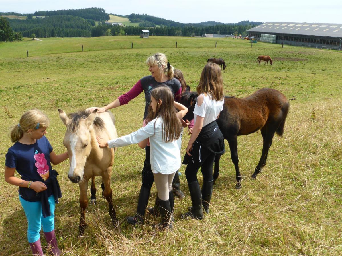 Espi-Stables Ferienhof Esterhammer Liebenau  Exterior foto